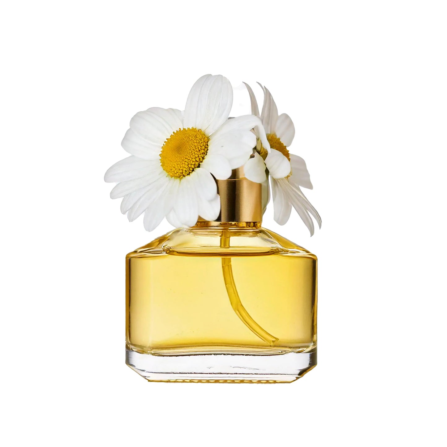 Designer Inspired Perfume &amp; Aftershave 100ml Eau De Parfum