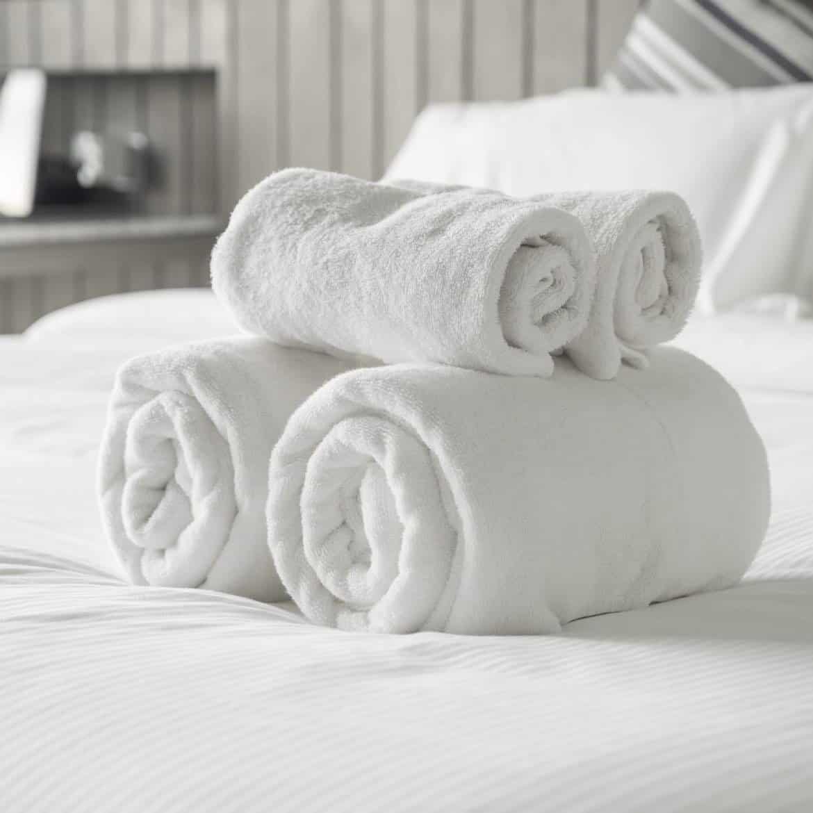 Laundry & Clean Scents Snap Bars